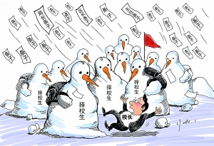 每周更新